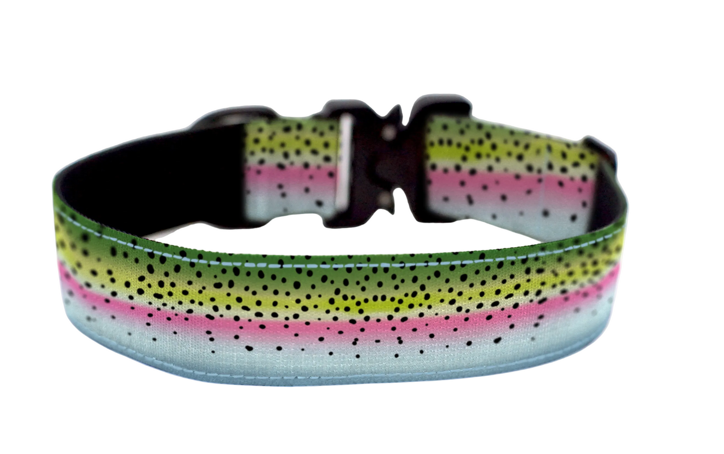 Rainbow Trout Dog Collar