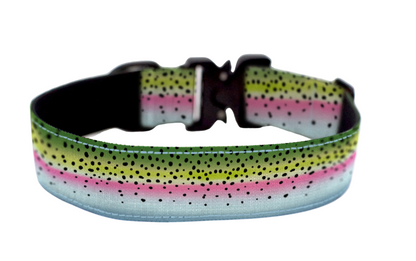 Rainbow Trout Dog Collar
