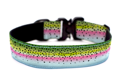 Rainbow Trout Dog Collar