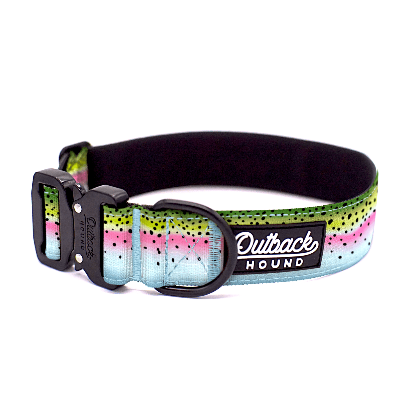 Rainbow Trout Dog Collar