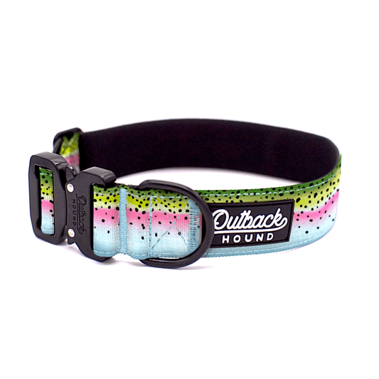 Rainbow Trout Dog Collar