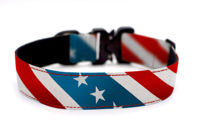 The Patriot Dog Collar