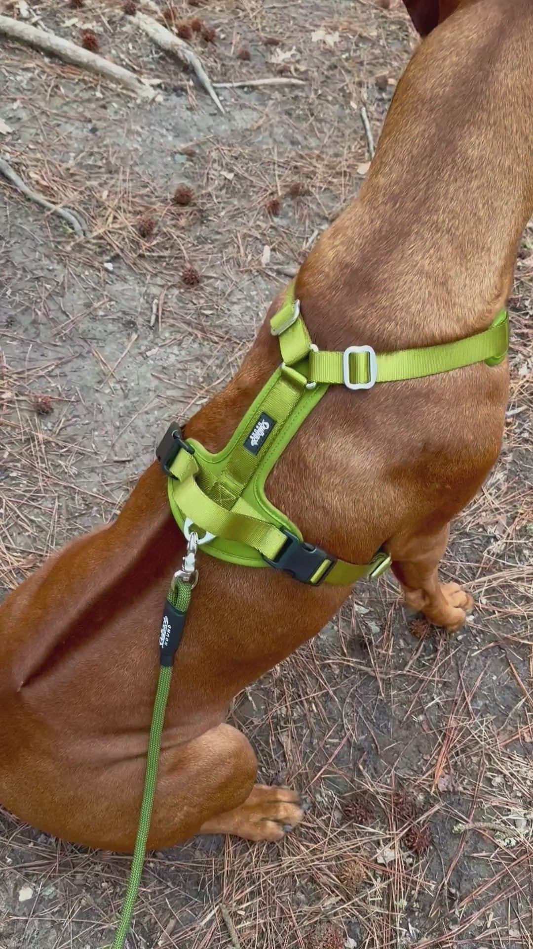 Lightweight Dog Harness - Moss Green Ultra Lite | Outback Hound