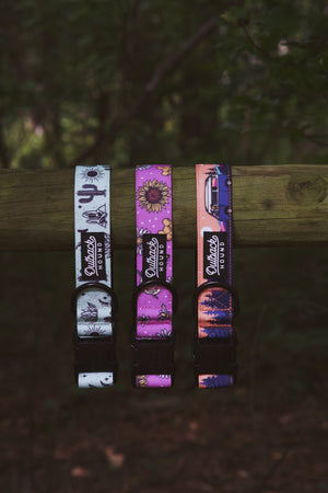 Agave Dog Collar