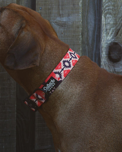 Aztec Dog Collar - Outback Hound