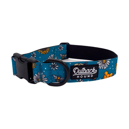 Bees Knees Teal Collar - Outback Hound